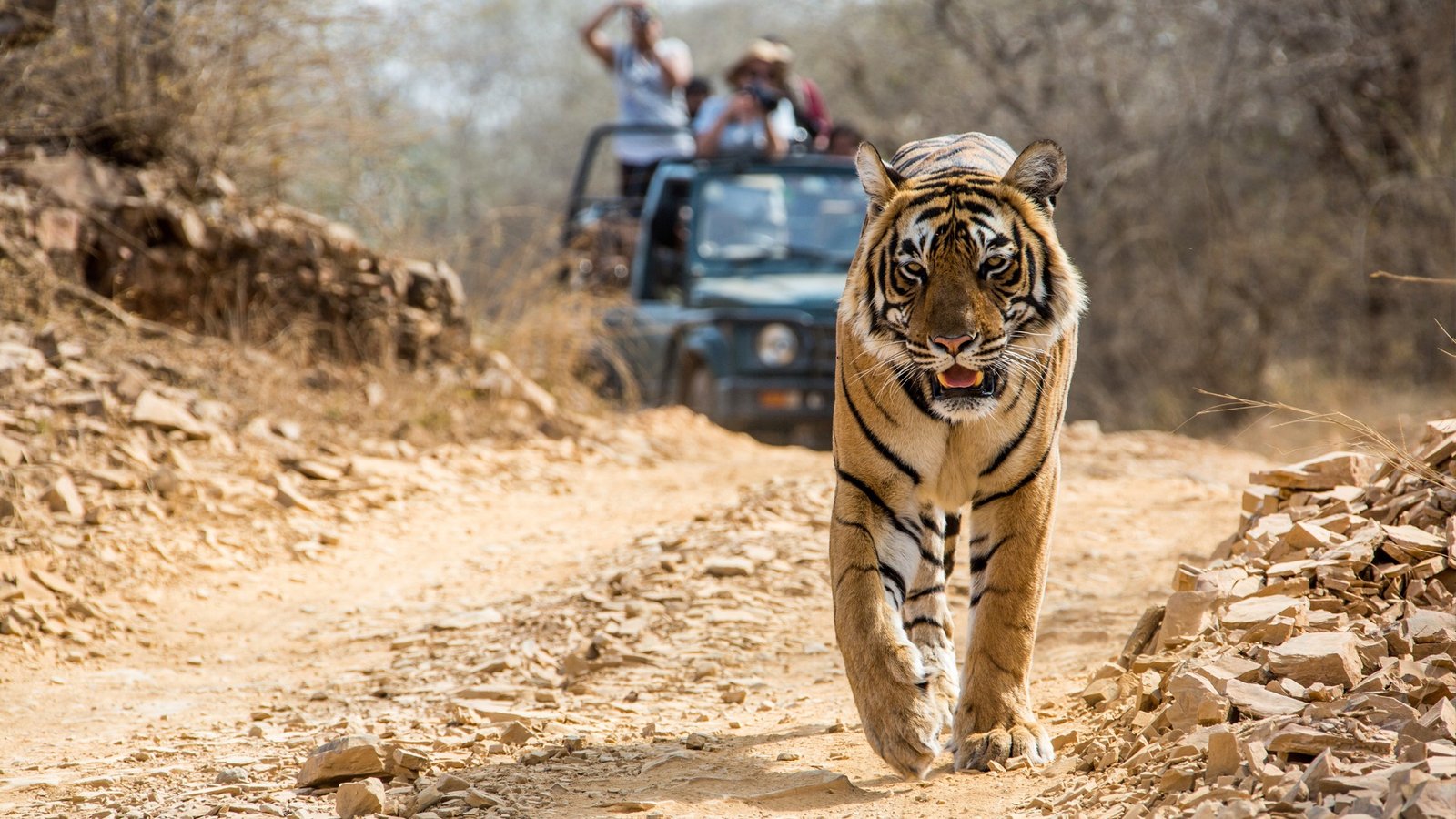 Ranthambore-park