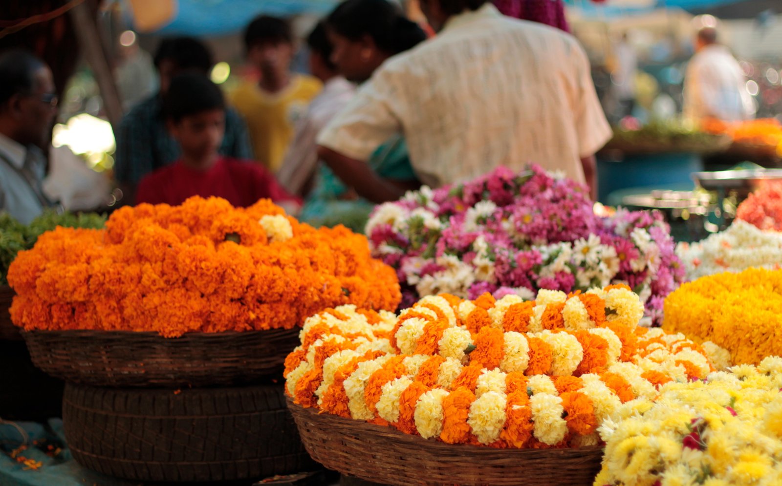 jaipur flower market tour
